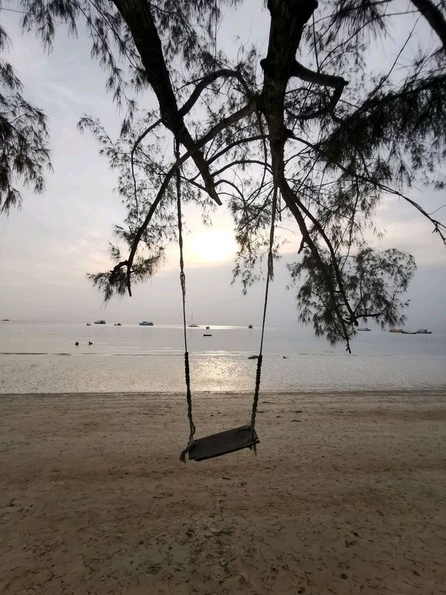 เกาะเต่า...ไม่เหงาใจ