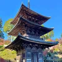 Joraku-ji: Zen Oasis Unveiled