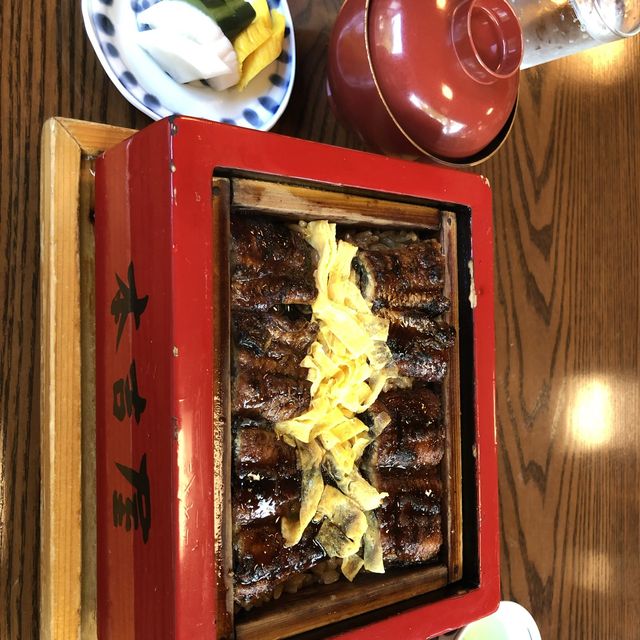 福岡：柳川遊船，適合任何時間和場景