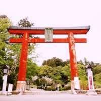 Exploring Nikko World Heritage in Japan