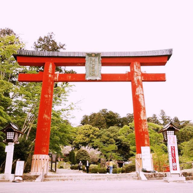Exploring Nikko World Heritage in Japan