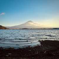 2023河口湖紅葉一個人旅行