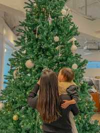 크리스마스에는 기산저수지 품은 이카페로오세요🎄