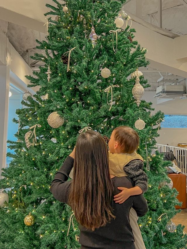 크리스마스에는 기산저수지 품은 이카페로오세요🎄