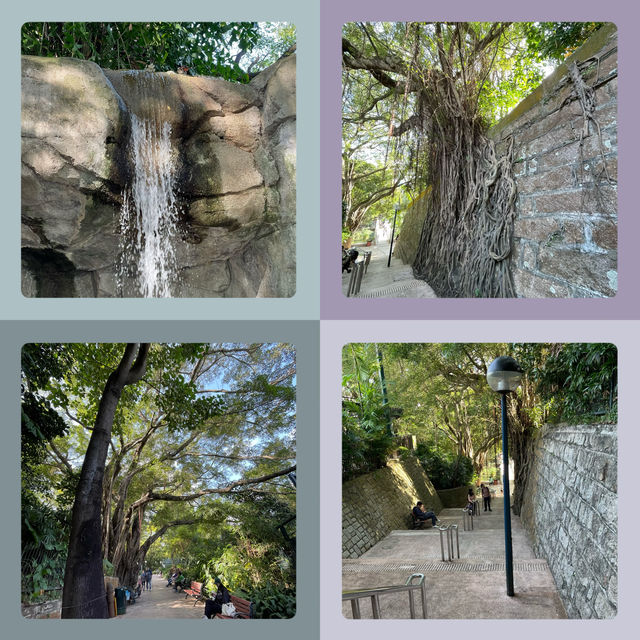 【香港必去】芬芳鳥語，紅鶴翩翩九龍公園 🕊️