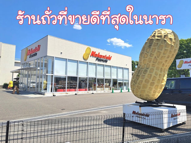 ร้านถั่วขายดีในนารา Nakanishi Peanuts 