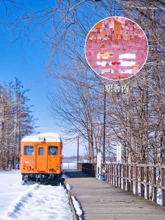 【保存版】冬のコスパが最強‼️都道府県個人的魅力度No.4👑スポット情報8選付き✨ 【保存版】冬のコスパが最強‼️都道府県個人的魅力度No.4👑スポット情報8選付き✨