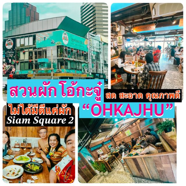สวนผักโอ้กะจู๋ ร้านดังเชียงใหม่กลางสยามแสควร์ ซอย2