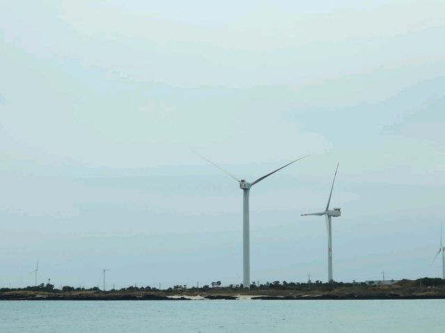 제주도 떠나고 싶게 만드는 제주 겨울 바다 