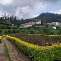 Natural beauty of Nilgiri Hills 