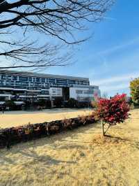 【愛知県】美しい本棚のリフレクションを楽しめる