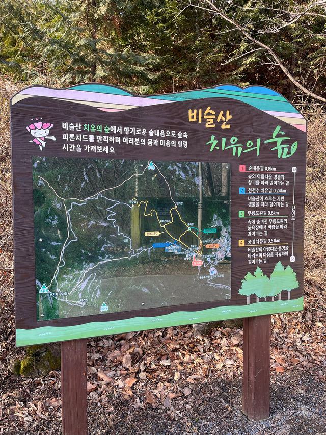 대구 빙벽포토존 겨울여행지