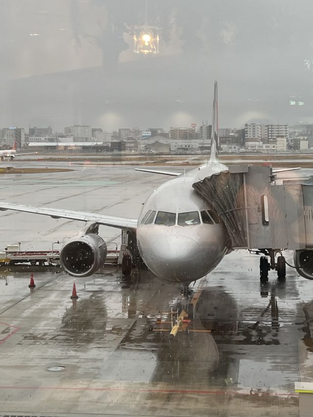 【搭乗記】名古屋旅の往路はジェットスター！