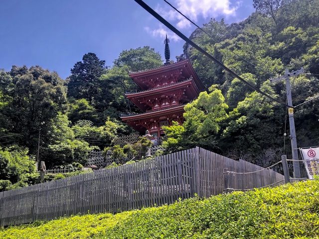 Gifu Park