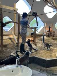 美術館…？いえ歴とした水族館です