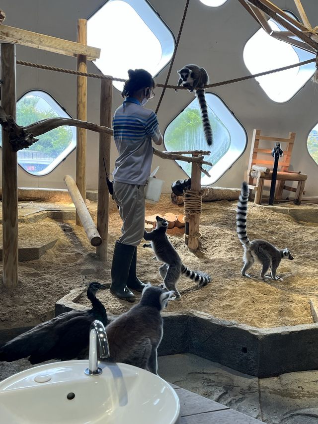 美術館…？いえ歴とした水族館です