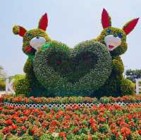 Tulip season in Korea