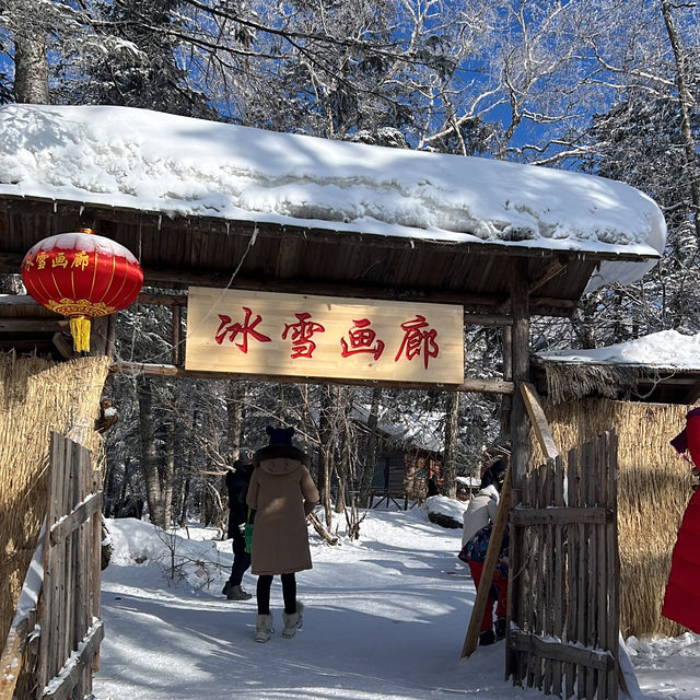 Discovering Harbin's Winter Magic