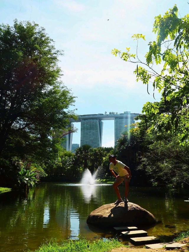 สวนสิงคโปร์สวยๆ Garden by the Bay