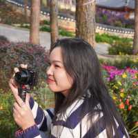 Da Lat in March