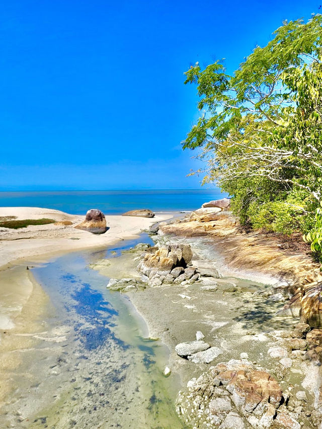 Penang National Park 