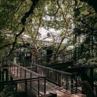 RAWR CAFE คาเฟ่สวย บนพื้นที่สีเขียวใจกลางสุขุมวิท