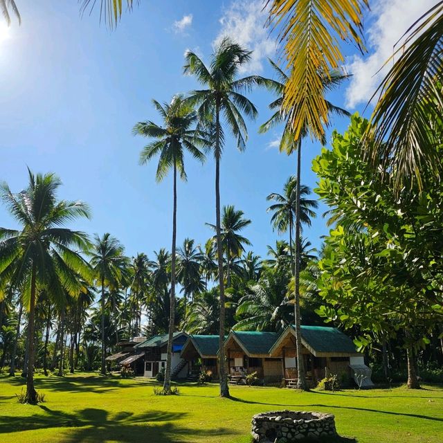 Rizal, Palawan, a haven!