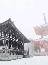 Danjo Garan Temple / A Snowy Day.