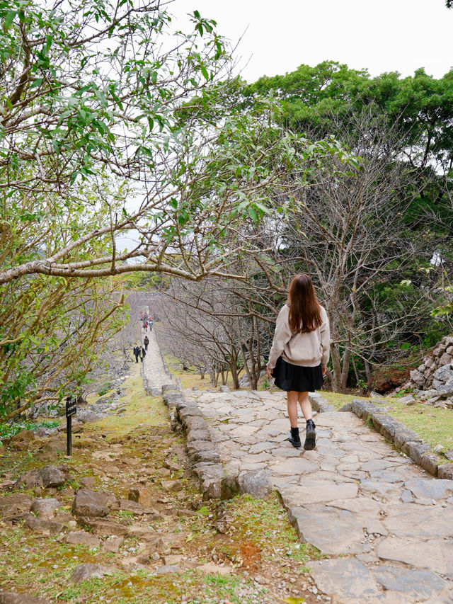 【沖縄/北部】世界遺産今帰仁城跡・伝統的な石垣と絶景