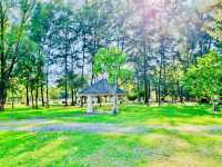 Saphan Hin park
