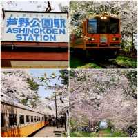 津輕半島蘆野公園