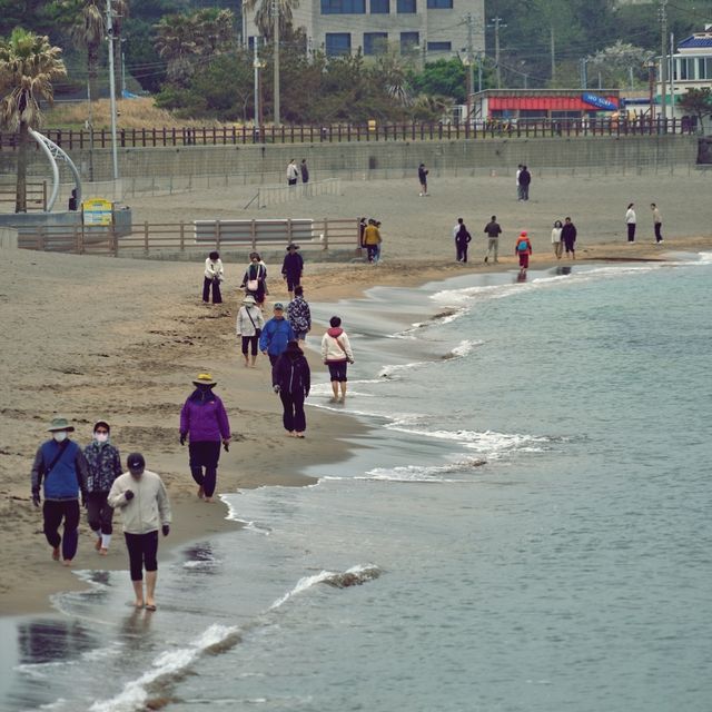 🌊 이호테우해변, 낮과 밤을 아름답게 수놓는 제주의 보석