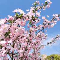 春の関西ソトアソビ🌸豊中市伊丹市グリーンランドひろば