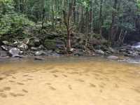 เขตรักษาพันธุ์สัตว์ป่า โตนงาช้าง