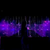 🇯🇵【東京】teamLab Planets TOKYO