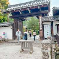 Spring in Arashiyama 1-day trip🌸🎋