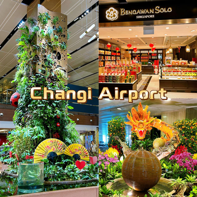 Singapore's Spectacular Airport