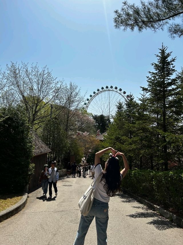 💛봄꽃 가득한 봄 여행지!!! "에버랜드"💛