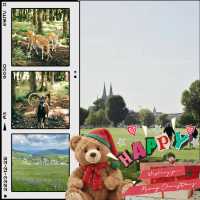 麥塞特農場公園：美麗鄉村