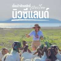มาให้อาหารแพะ ฟีลทุ่งหญ้านิวซีแลนด์