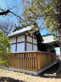 【熊野神社（恋ヶ窪）/東京都】何度も再建され今に続く
