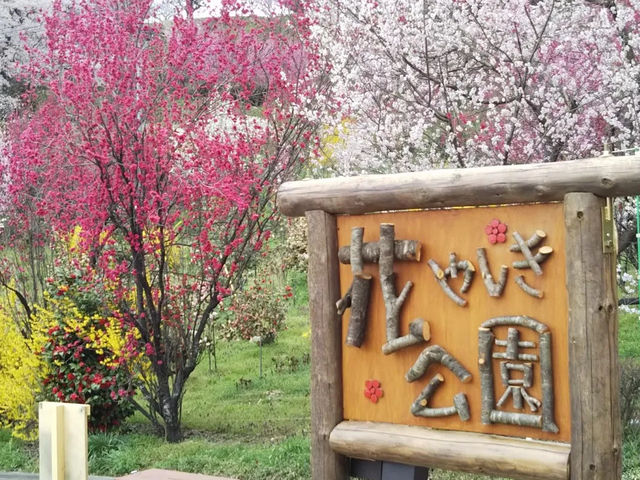 [のどかな春感じませんか] 福島県花やしき公園