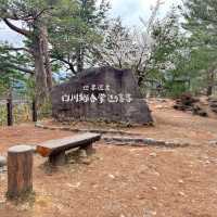 日本白川鄉合掌村｜此生必參觀一次的世界遺產