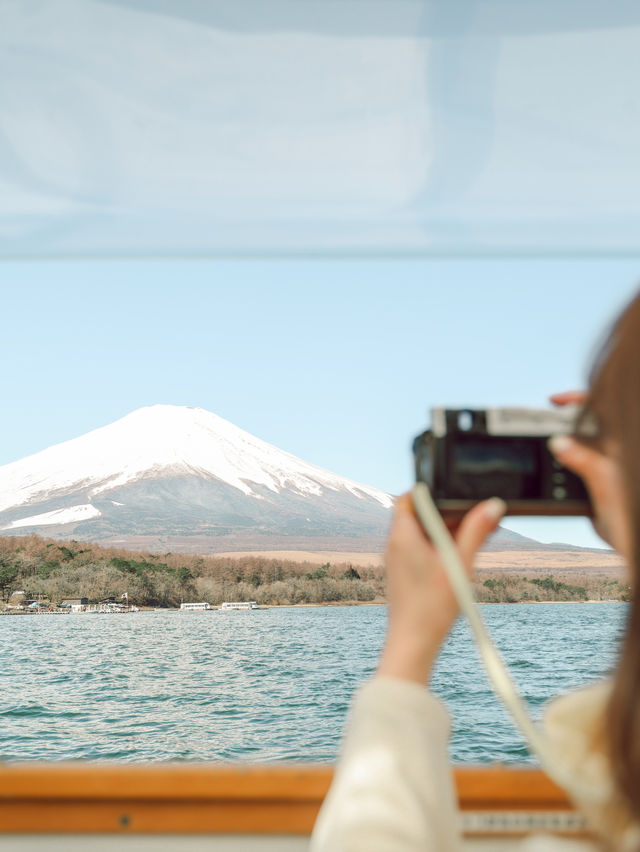 富士山好去處｜搭乘超人氣「河馬巴士」穿越森林與湖泊**