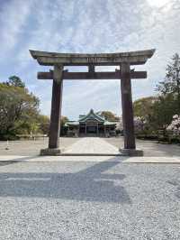 【2024桜】成長が楽しみ大阪豊國神社と醍醐の桜