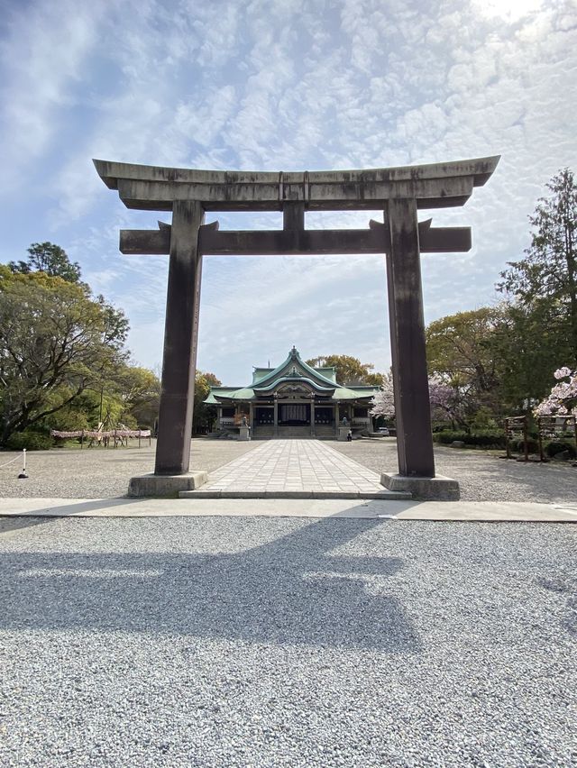 【2024桜】成長が楽しみ大阪豊國神社と醍醐の桜