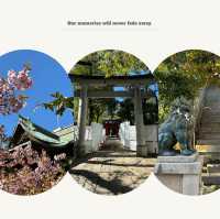 「品川神社:日式櫻花禪境,感受日本傳統文化」