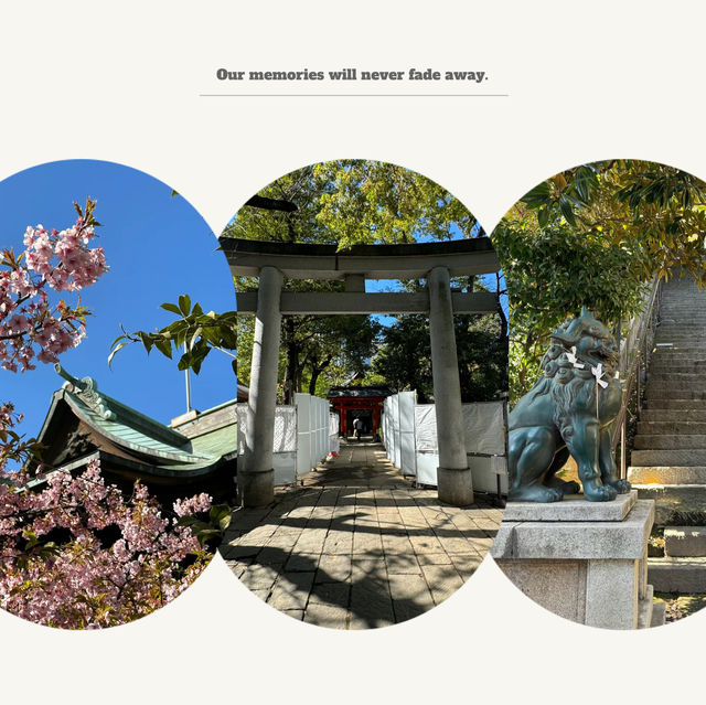 「品川神社:日式櫻花禪境,感受日本傳統文化」 「品川神社:日式櫻花禪境,感受日本傳統文化」