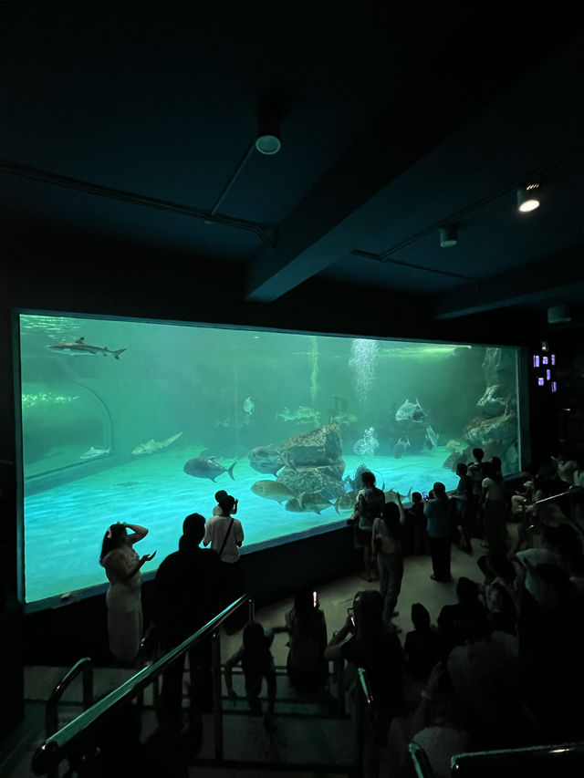 ย้อนเวลาไปเที่ยวบางแสน🐬🐟🐠