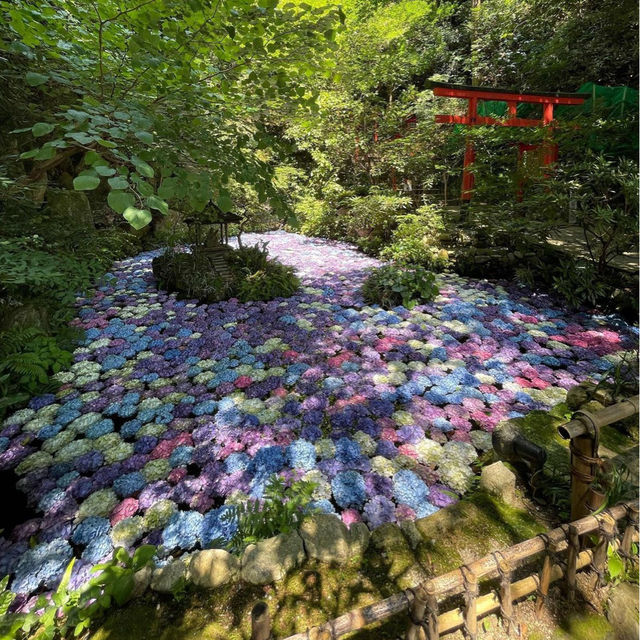 【福岡観光】涅槃像で有名な南蔵院